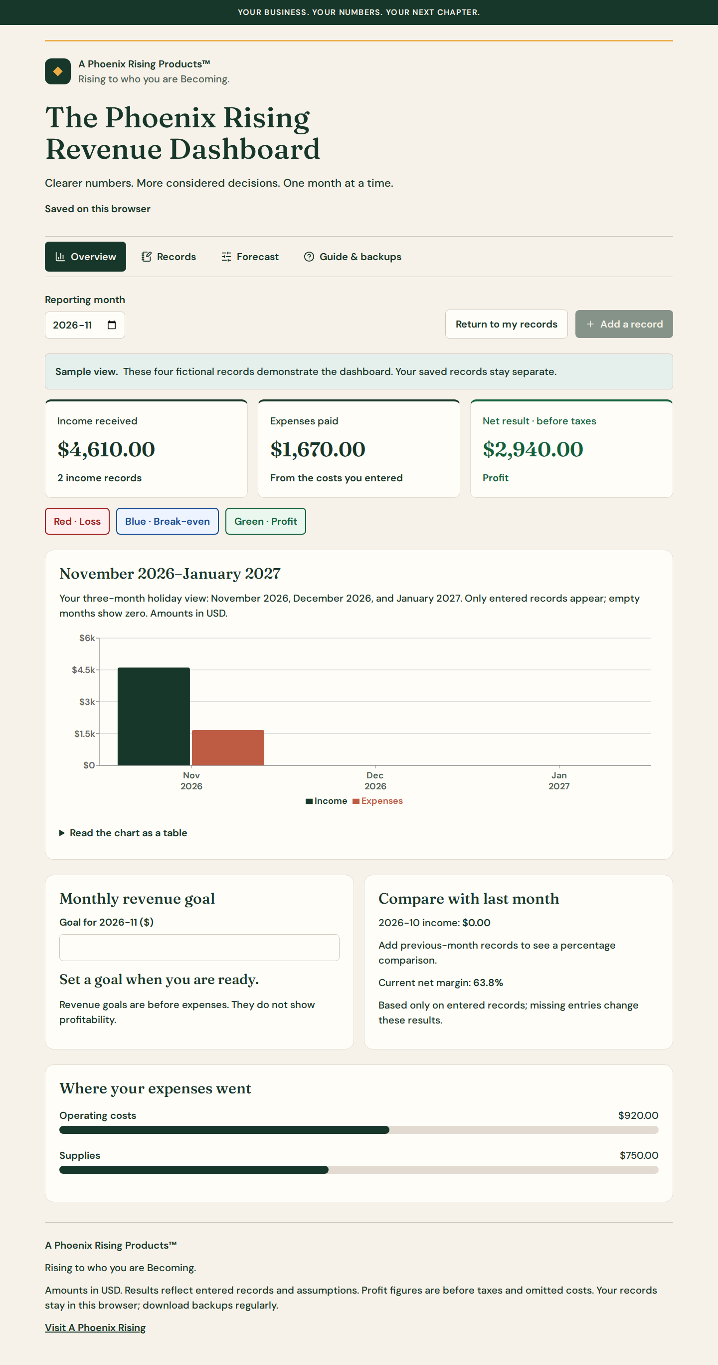 Actual Revenue Dashboard in its separate sample view, displaying received income, paid expenses, and a color-labeled net result.